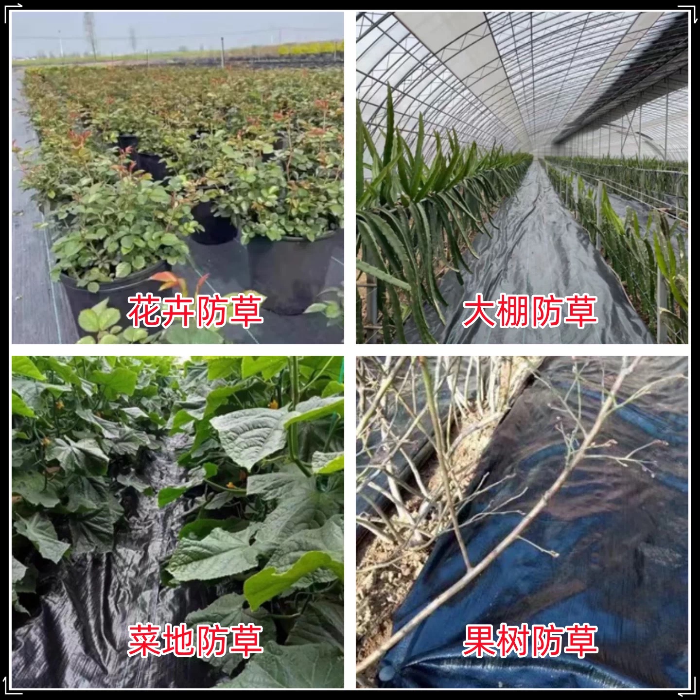 白山市po膜防草布 - 价格