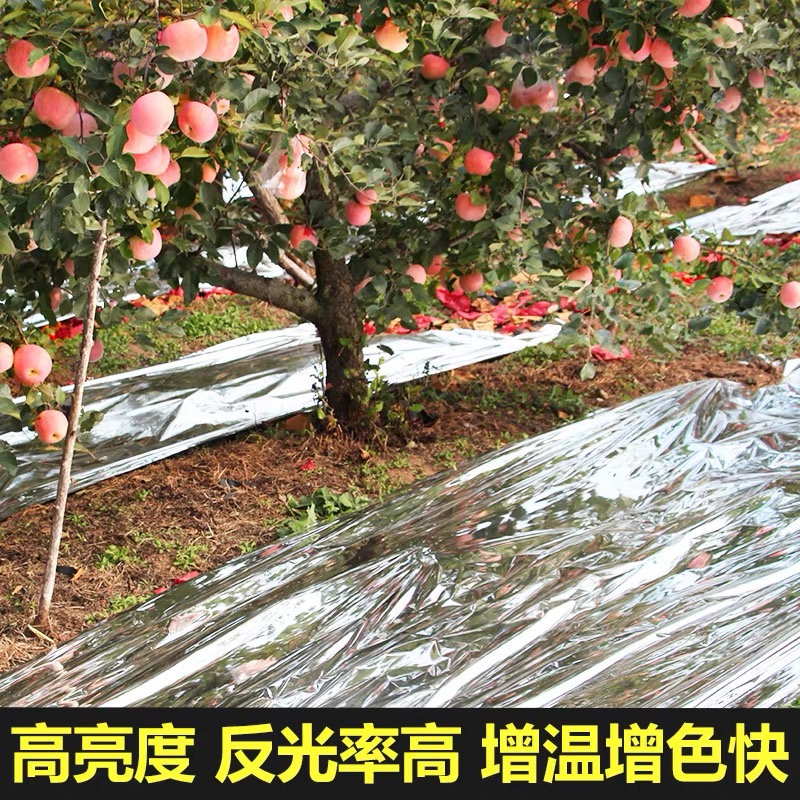 白山市防草布果树反光膜 - 方案